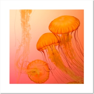 Jelly Fish Cute Yellow Jellyfishes Posters and Art